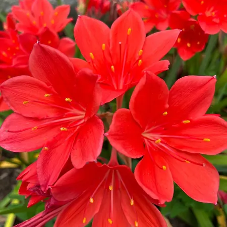 Marta Loft Diáfano Con Jardín Y Aparcamiento En Histórica * Renedo de Pielagos