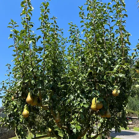 Marta Loft Diáfano Con Jardín Y Aparcamiento En Histórica Apartamento