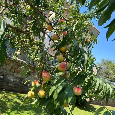Apartamento Marta Loft Diáfano Con Jardín Y Aparcamiento En Histórica *