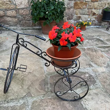 Marta Loft Diáfano Con Jardín Y Aparcamiento En Histórica * Renedo de Pielagos