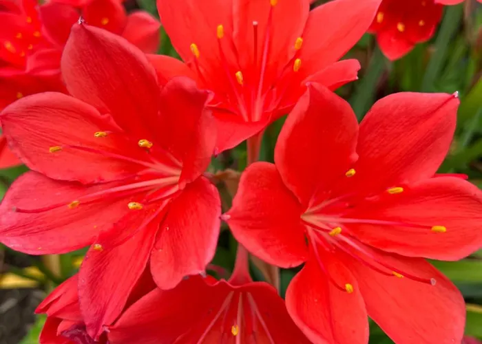 Marta Loft Diáfano Con Jardín Y Aparcamiento En Histórica * Renedo de Pielagos