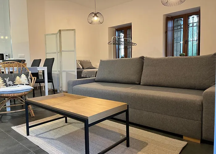 Marta Loft Diafano Con Jardin Y Aparcamiento En Historica Apartament *